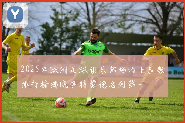 2025年欧洲足球俱乐部场均上座数排行榜揭晓多特蒙德名列第一